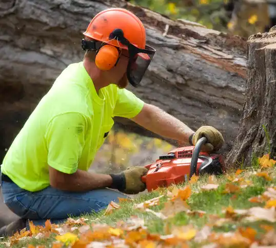 tree services Prairieville